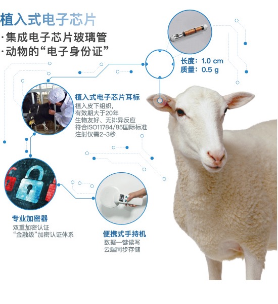 植入式电子芯片与动物电子身份证示意